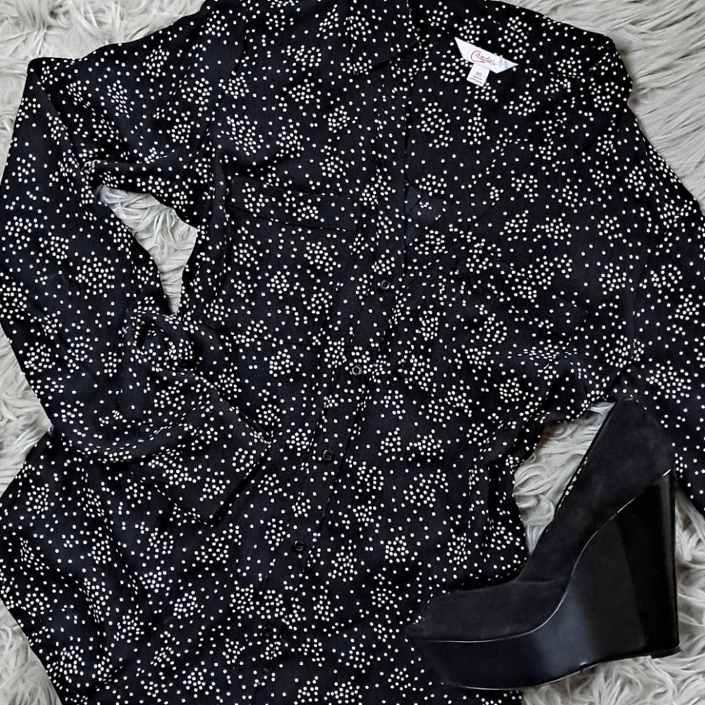 Sheer Black Polka Dot Collar Button Down Blouse